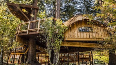 Microsoft construye casas del árbol para sus empleados