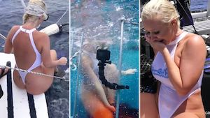 Estrella porno es atacada por un tiburón (VIDEO)