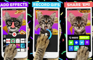 GIFs Giphy ya tiene más usuarios activos que Snapchat y Twitter