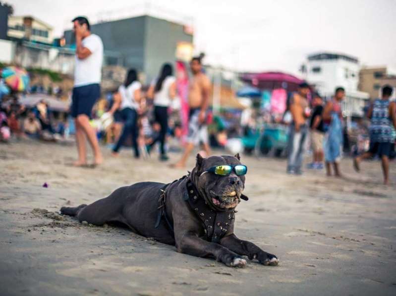 Prevén en la mitad del país calor de más de 35 grados