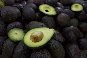 Prevén baja en el precio del aguacate en agosto