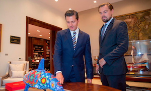 Leonardo DiCaprio agradece veda para proteger a la vaquita marina