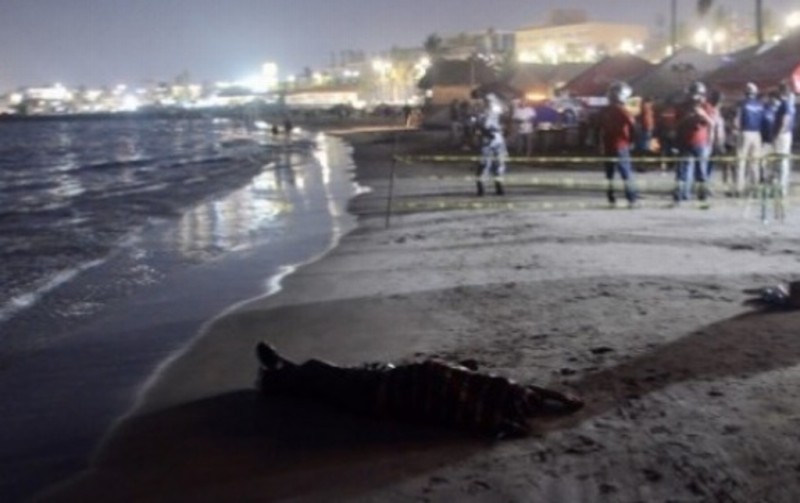 Fallecido en playas deambuló varios días por Villa del Mar; pudo estar enfermo: PC