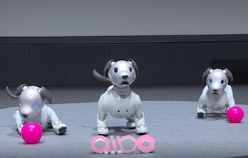 Sony apuesta a la inteligencia artificial con su perro aibo